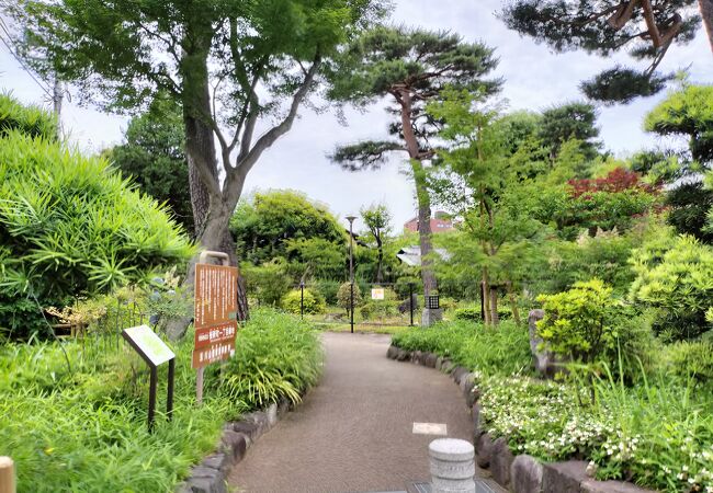 桜新町一丁目緑地 (サザエさん公園)