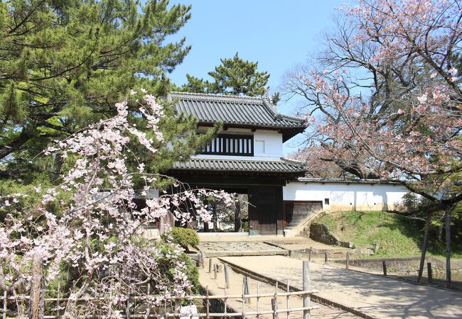 桜の名所