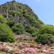 つつじの景色がすばらしいが残念ポイントも多くてがっかり