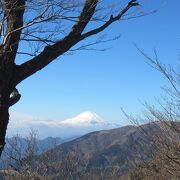 丹沢の山上や大山からは、視界が良いと富士山がよく見える