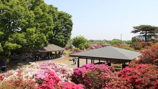 名前の通りのつつじの名所