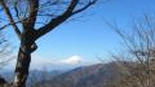 丹沢の山上や大山からは、視界が良いと富士山がよく見える