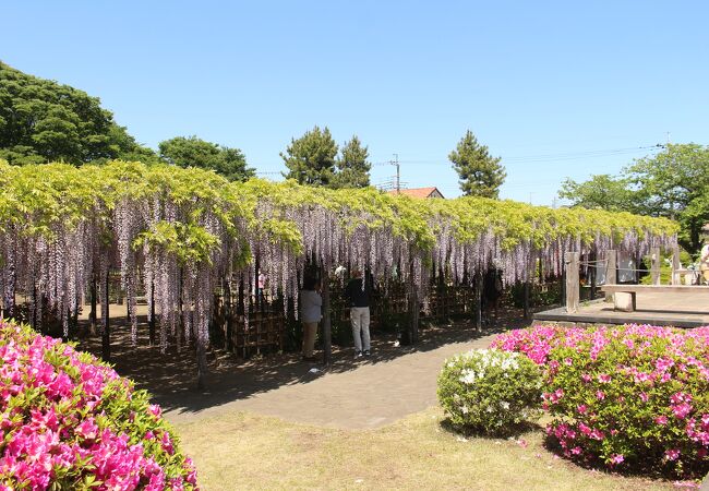 玉敷神社