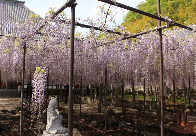 長泉寺