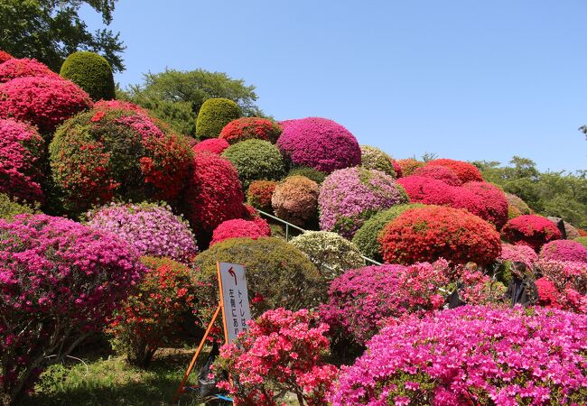 鶴峯公園