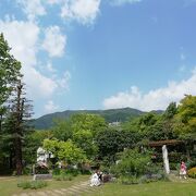 六甲山系中腹の自然あふれる植物園