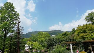 六甲山系中腹の自然あふれる植物園