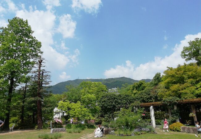 西宮市北山緑化植物園