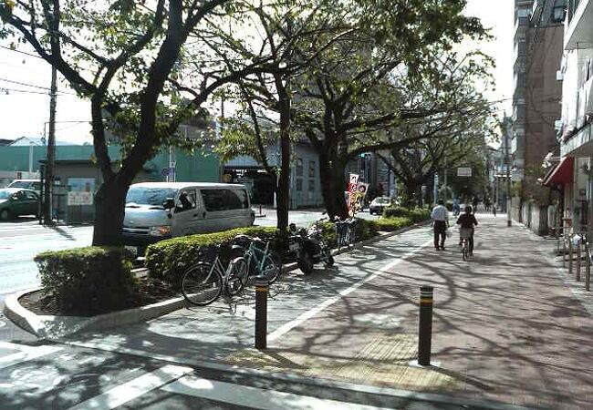 生活感溢れる街並みや桜並木の中でゆったり歩ける大通り