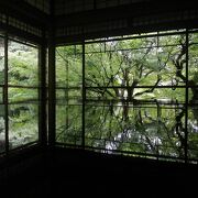 雨音とカエルの鳴き声が趣を加える