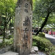 緑の中を気持ちよく歩く