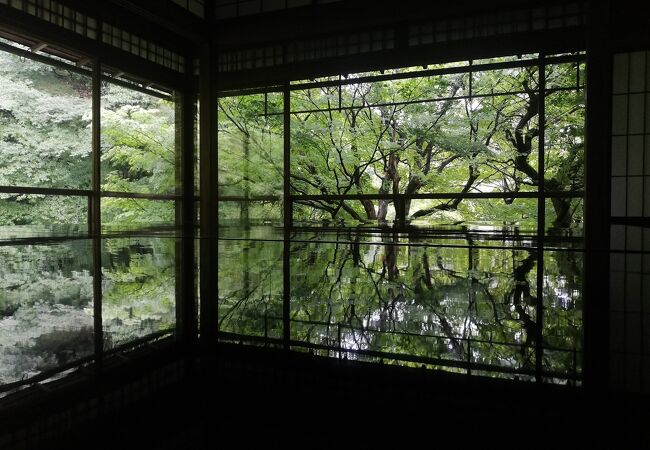 雨音とカエルの鳴き声が趣を加える