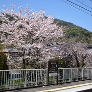 嵐山観光に便利な路線