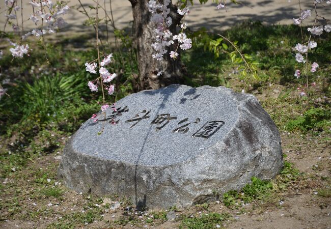 京都の桜の名所