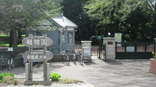 多種の動植物を知ることができます