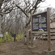 住居も復元されています。