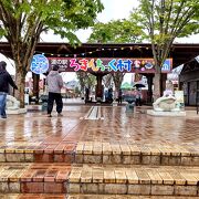 宇都宮の近郊でかなり広大な敷地の道の駅