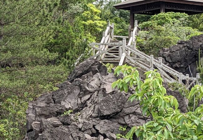 桜島を実感する