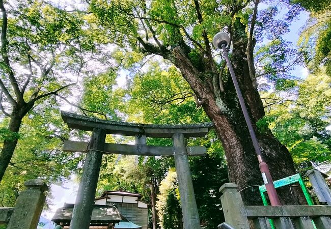 五所神社