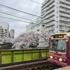 神田川桜並木