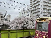 神田川桜並木