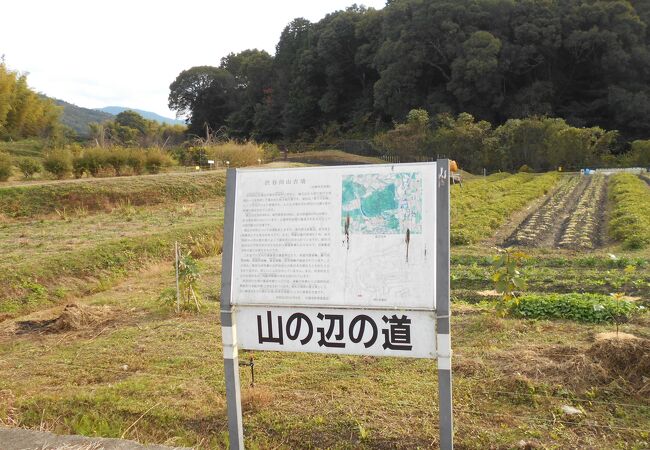 日本最古の道の一つといわれる山の辺の道