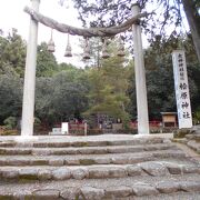 三ツ鳥居を通して御神座を拝す という形の神社です。