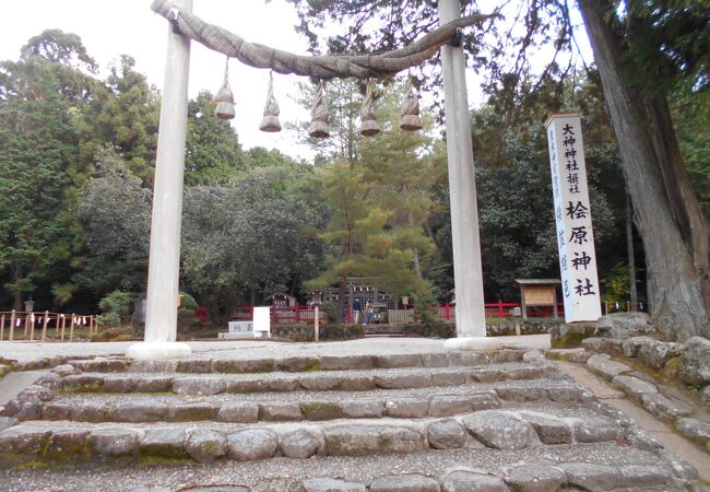 三ツ鳥居を通して御神座を拝す という形の神社です。