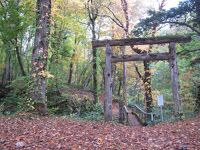 来運神社