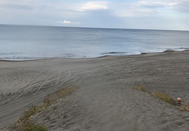 海岸沿いに釣り竿がたくさん刺さっている