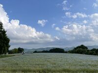 Flower village 花夢の里