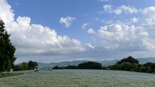 Flower village 花夢の里