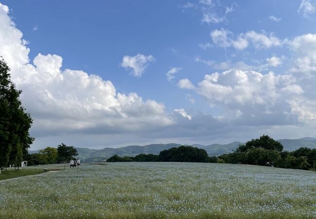 Flower village 花夢の里