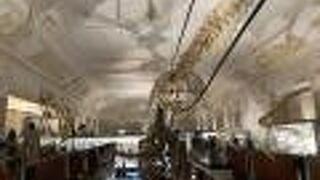 国立台湾博物館 土銀展示館