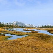 絶景の湿原！…なのに、人少なめ