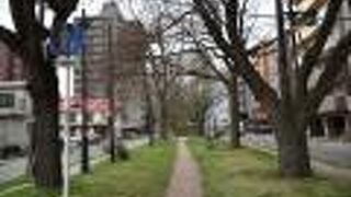 小さな大通公園