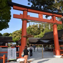 賀茂別雷神社