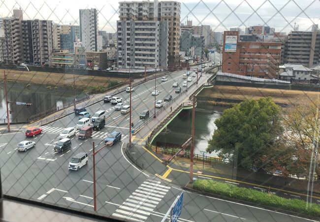 熊本市内を流れる！