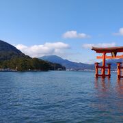 鳥居の大きさが実感できました
