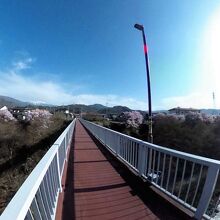 虹橋と三峰川 高遠方面