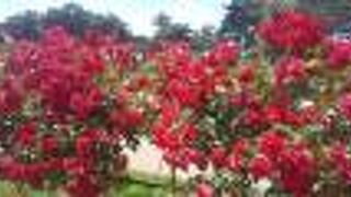 無料の施設で嬉しい