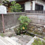 湧き水　梅の川