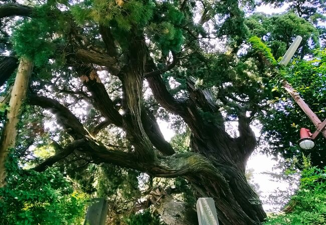 城願寺　土肥氏菩提寺