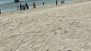 バスツアーだと滞在時間少なく物足りない