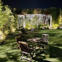 ライトアップしたガーデン