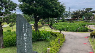 無料で楽しめる菖蒲