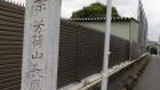 もう少し樹木や植栽があれば雰囲気が良くなる