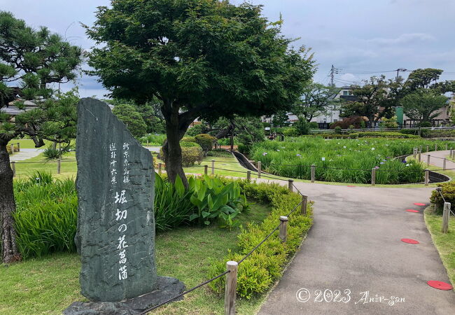 無料で楽しめる菖蒲