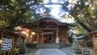 海の目の前にある鳥居