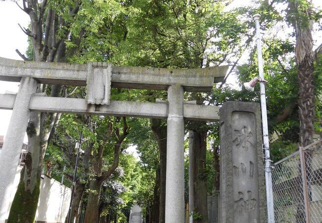 氷川神社